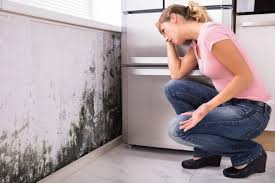 Best Black Mold Removal  in Pink, OK